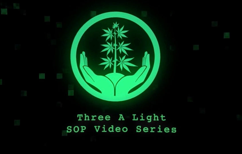 Three A Light University: A Legacy of Knowledge, Accessible to All