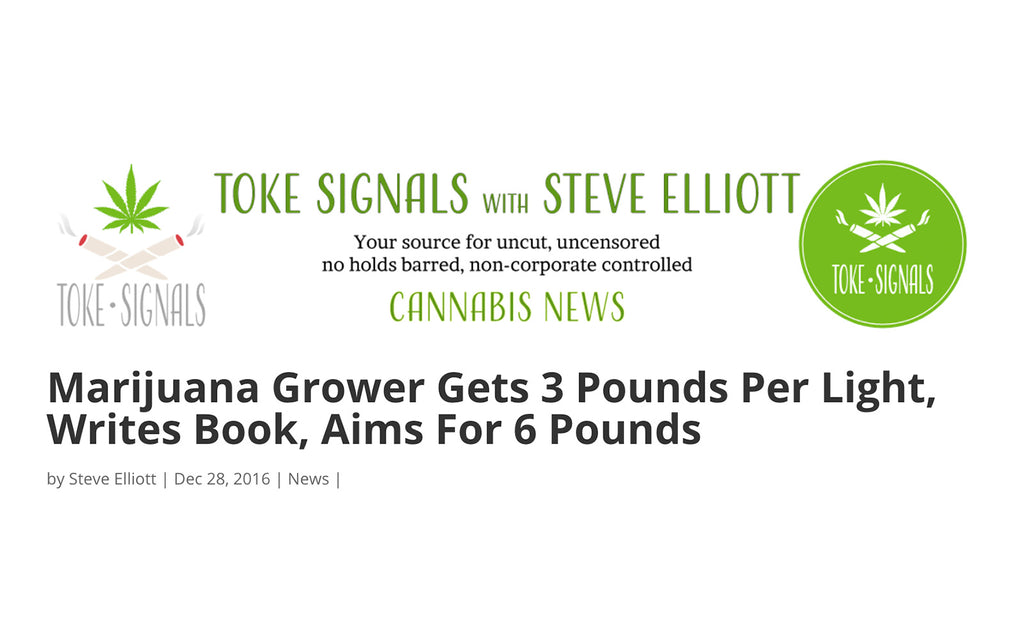 Toke Signals - Marijuana Grower Gets 3 Pounds Per Light, Writes Book, Aims For 6 Pounds